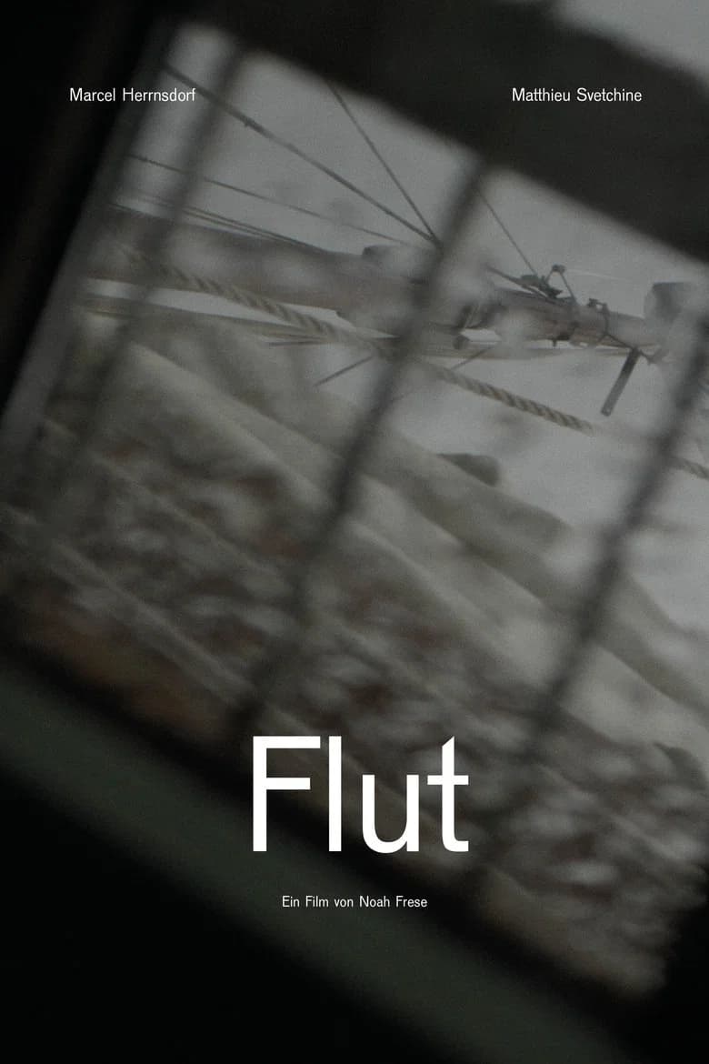Flut cover art