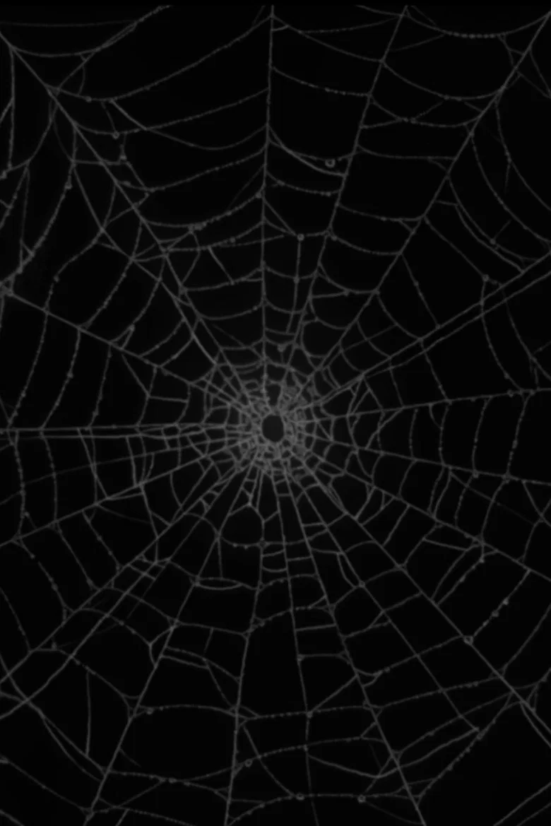 Soundweave cover art