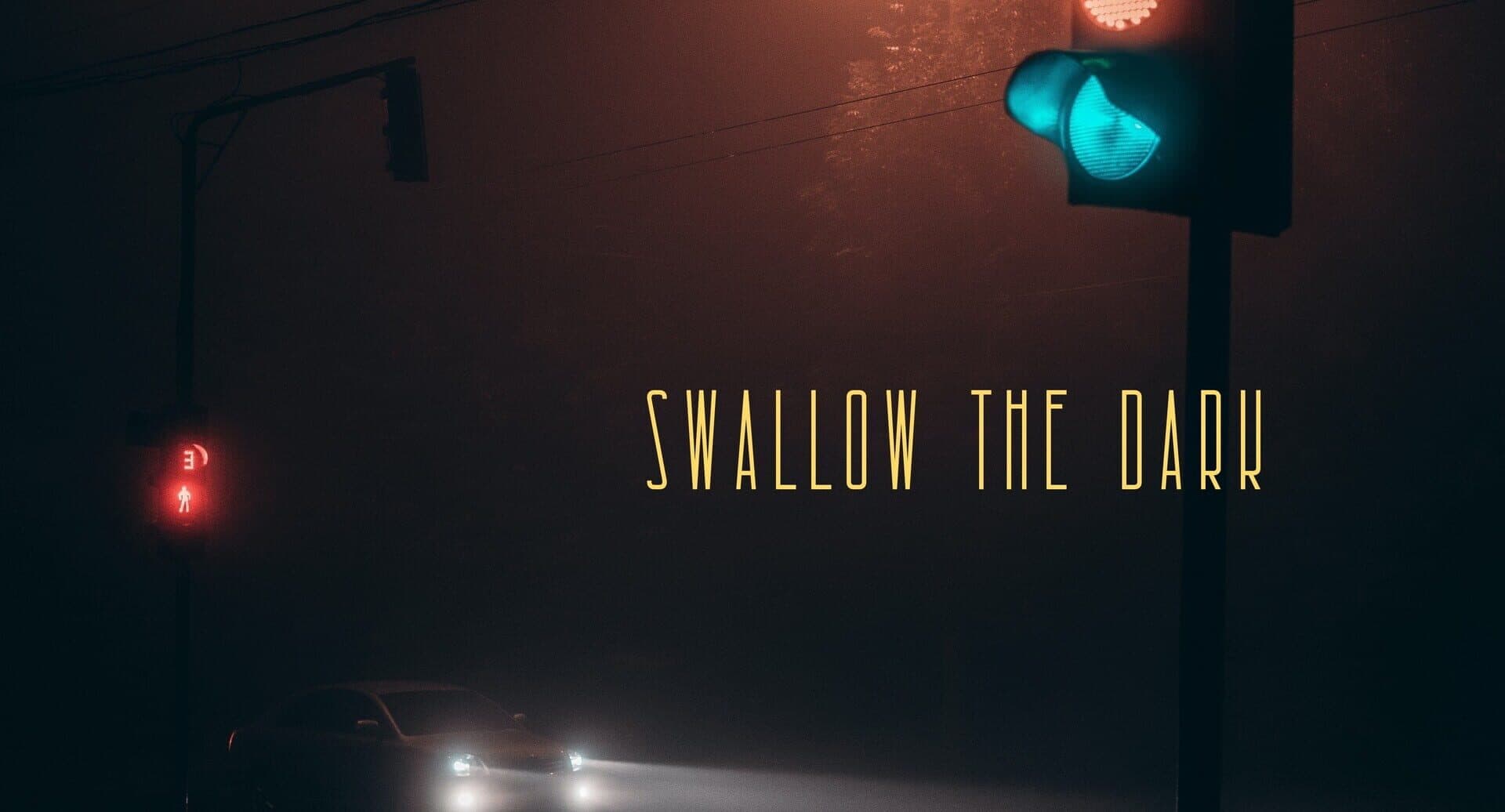 Swallow the Dark cover art