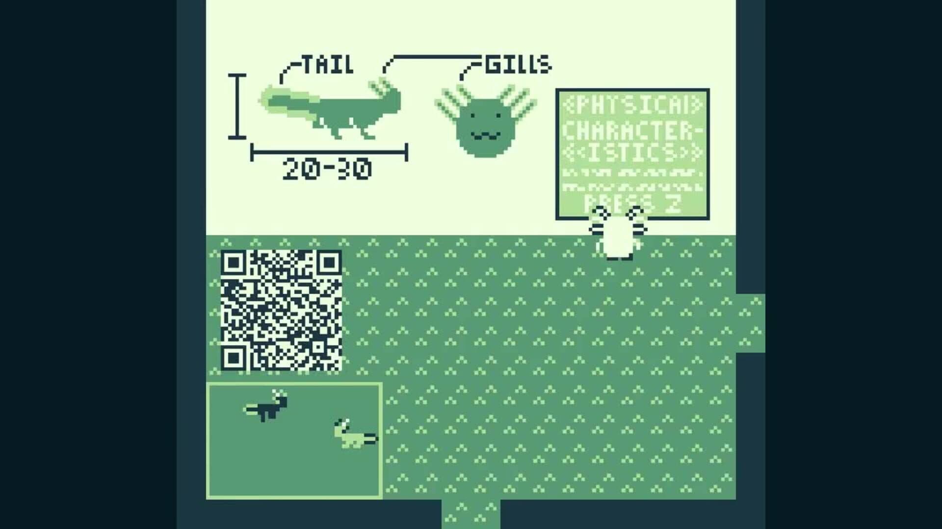 Axolotl Museum cover art