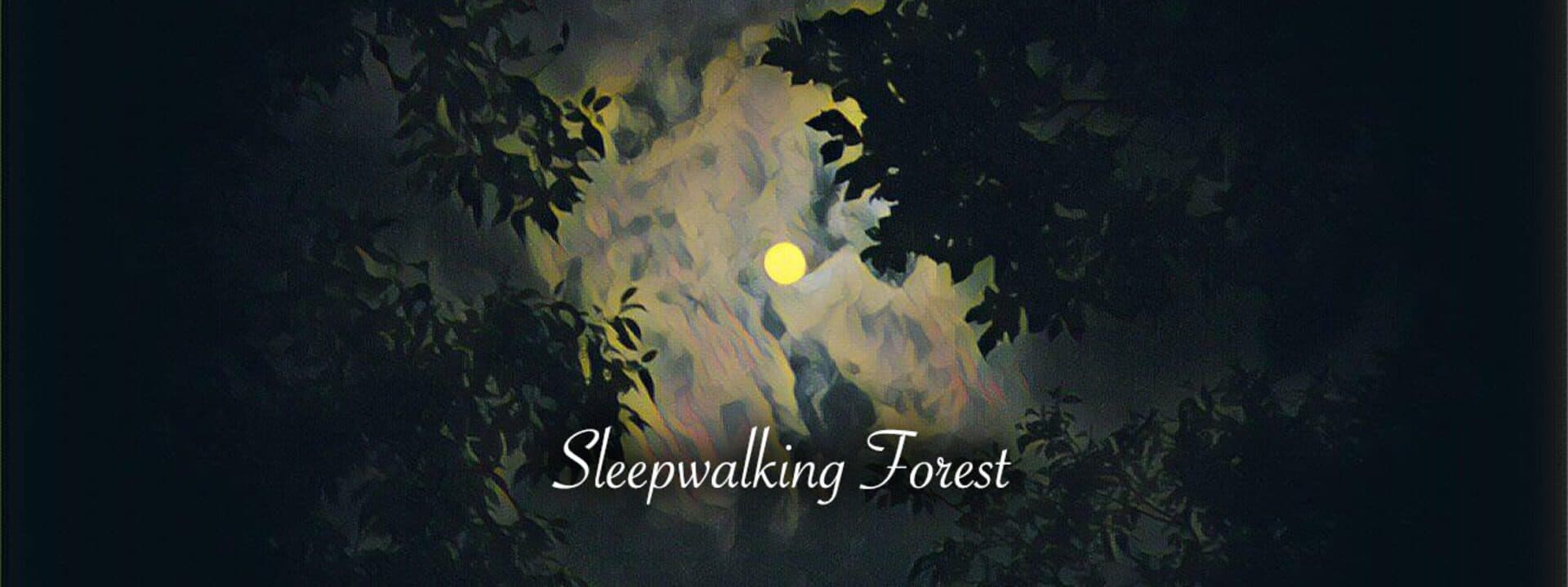 Sleepwalking Forest cover art
