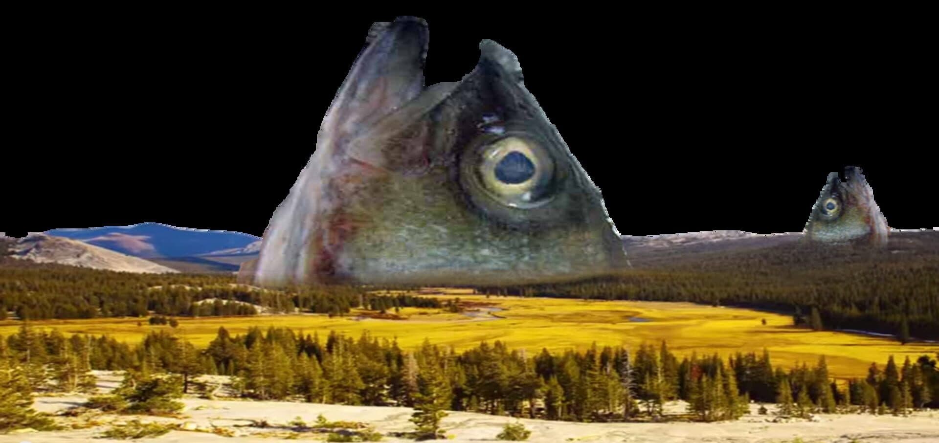 You Don't Know the Half of It: Fins of the Father cover art