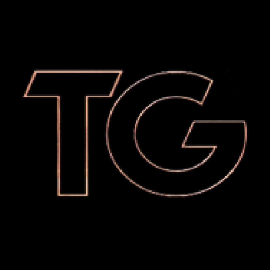 Tower's Gate cover art