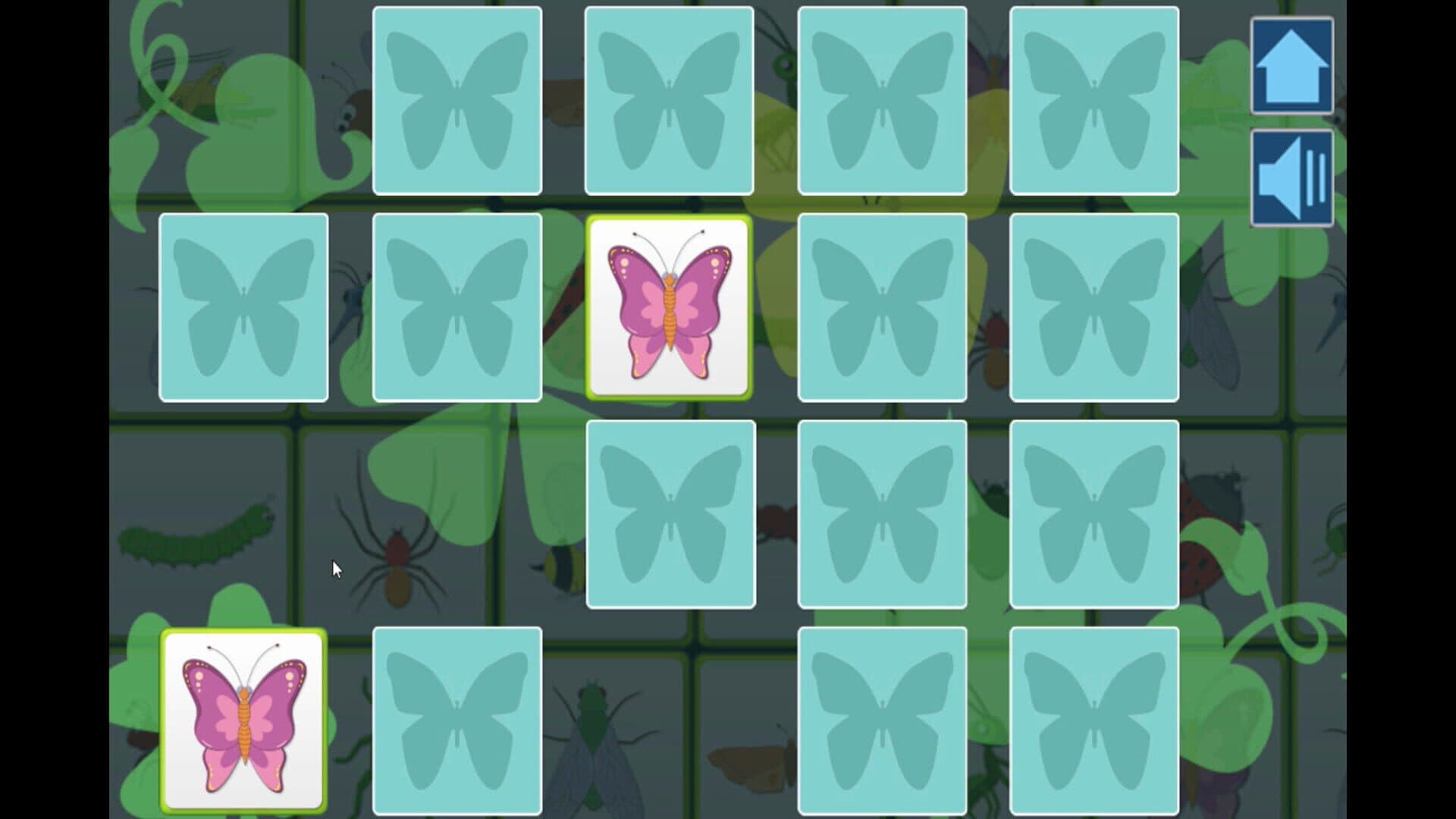 Insects cover art