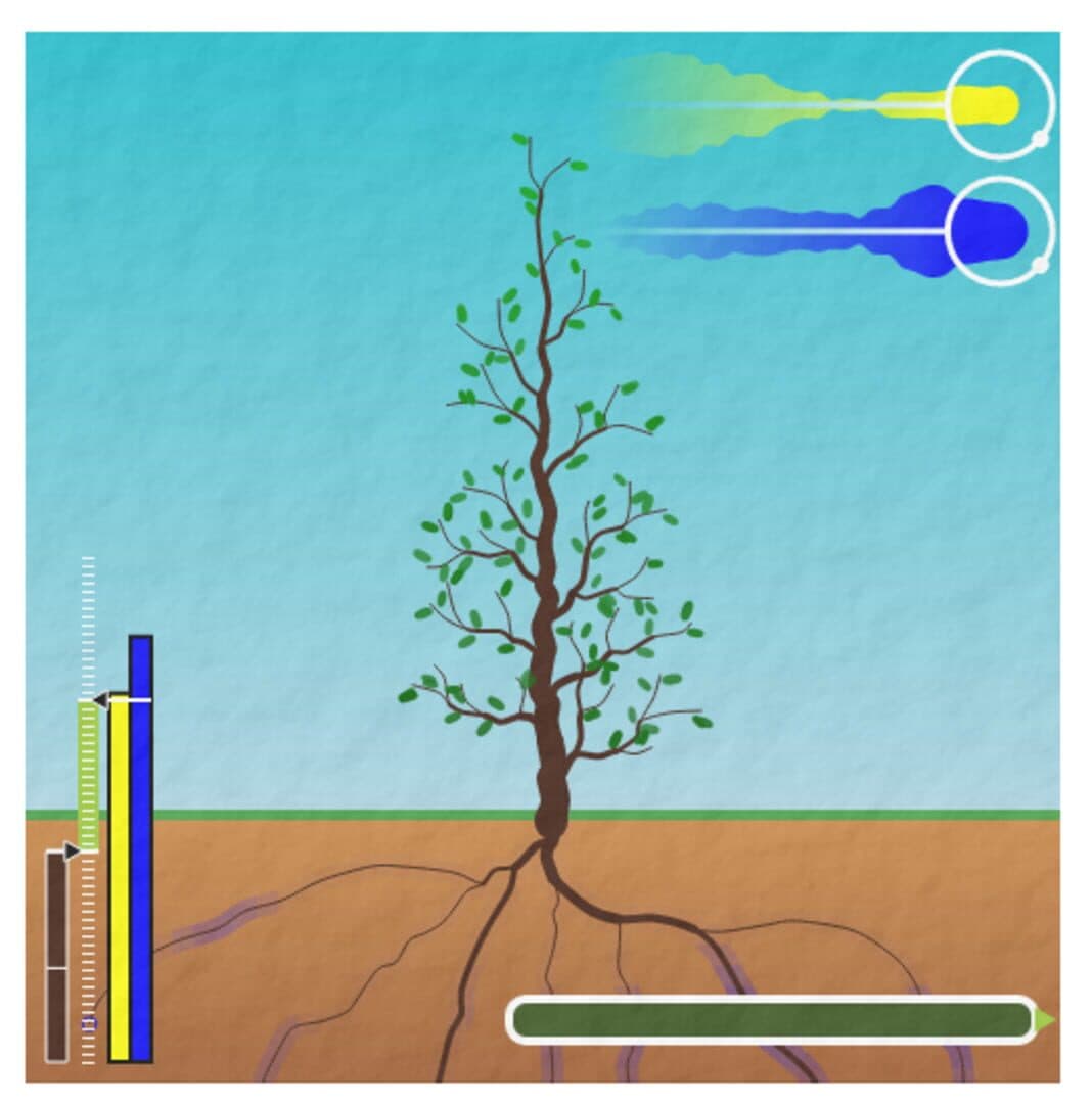 Treelogy cover art