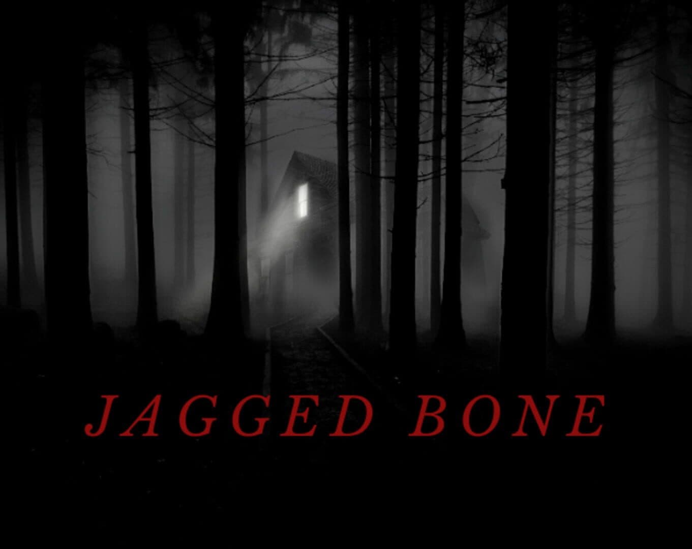 Jagged Bone cover art