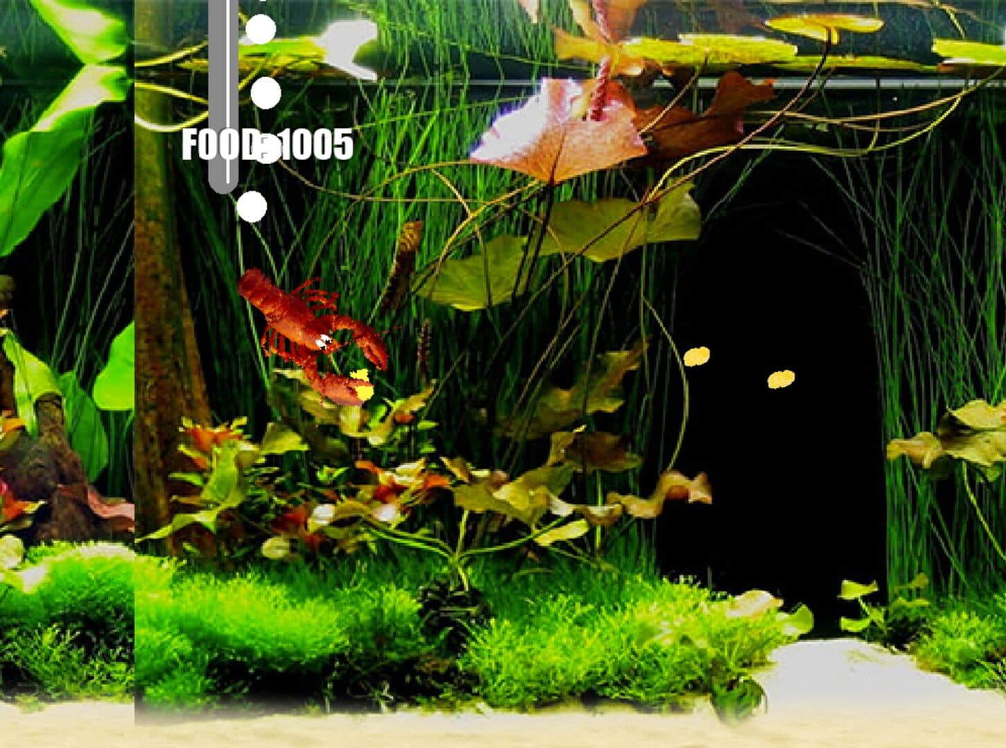 Aquarium Life cover art