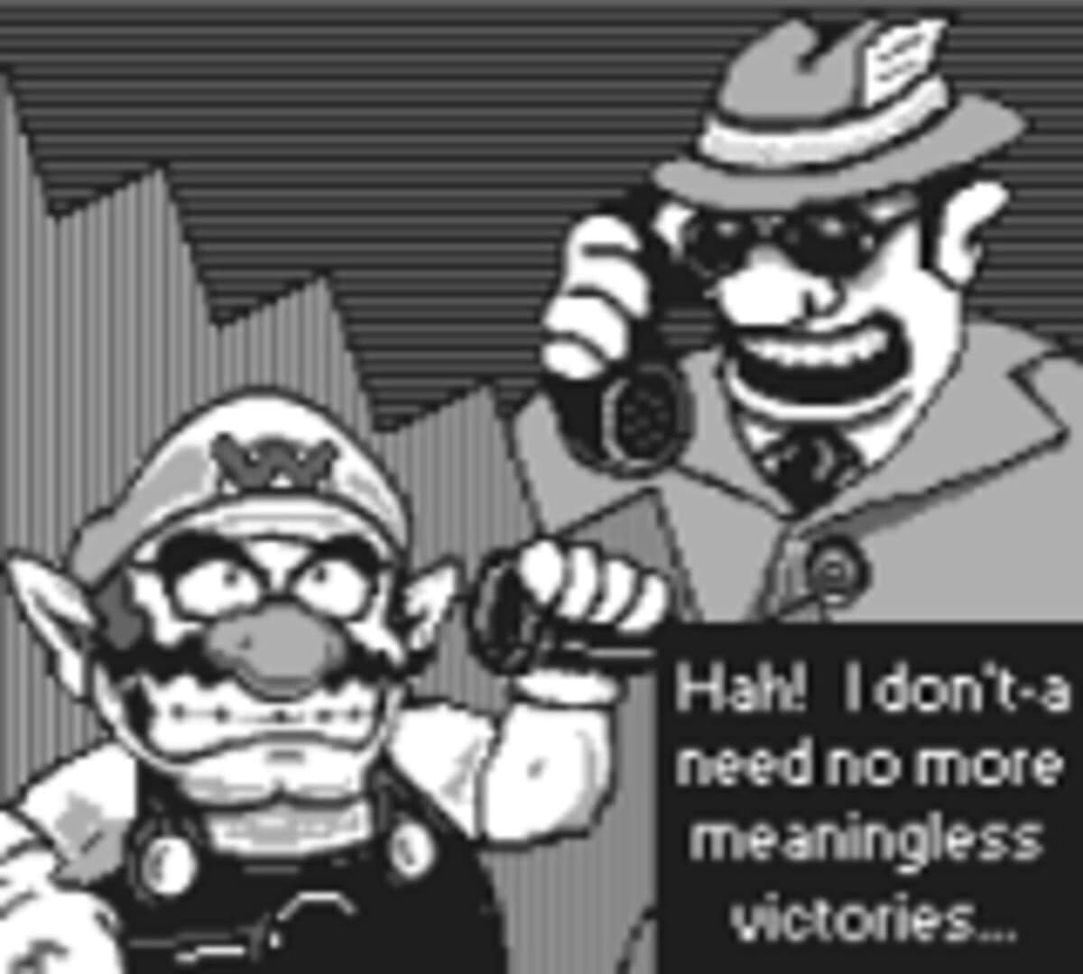 Wario Pool cover art