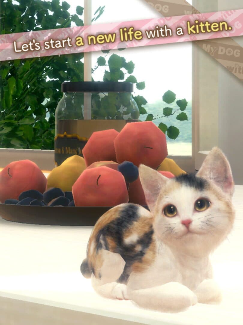 With My Cat cover art