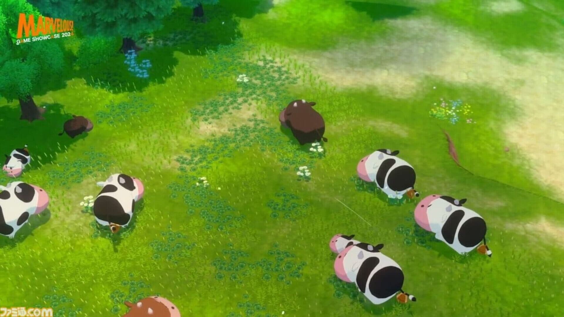 Story of Seasons: Untitled 2024 cover art
