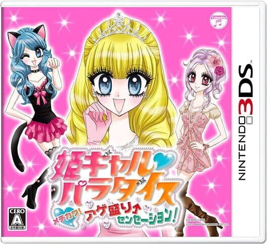 Hime Girl Paradise: Mechikawa! Age Sakari Sensation! cover art
