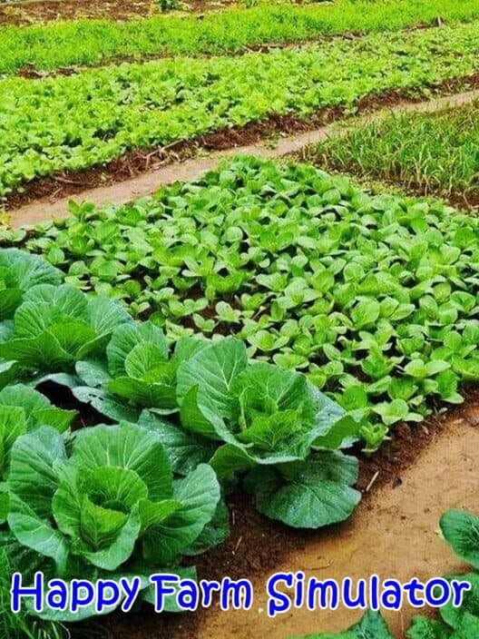 Happy Farm Simulator cover art