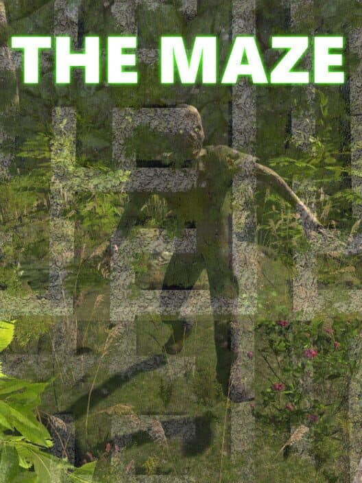 The Maze cover art