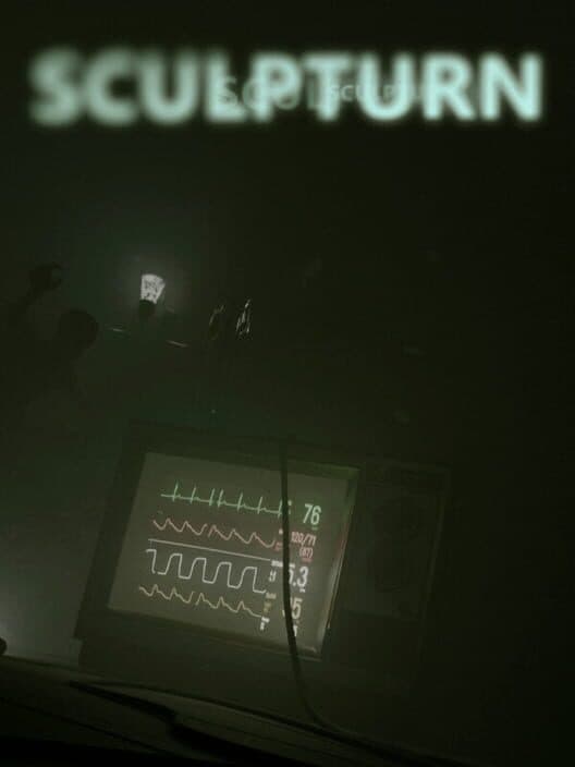 Sculpturn cover art