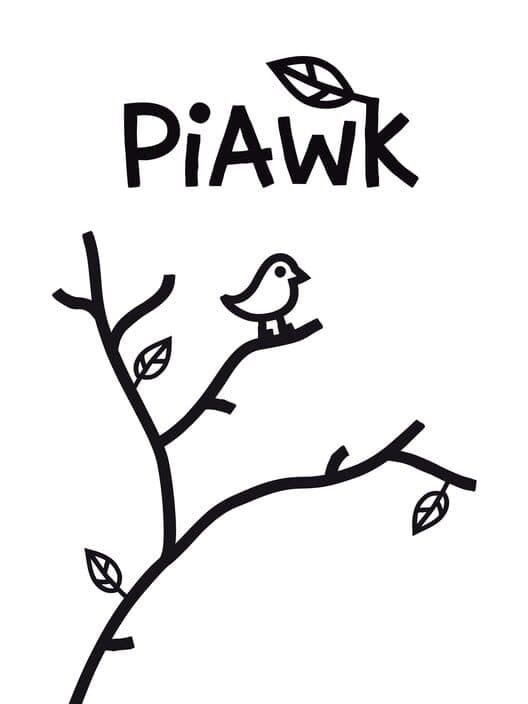PiAwk cover art
