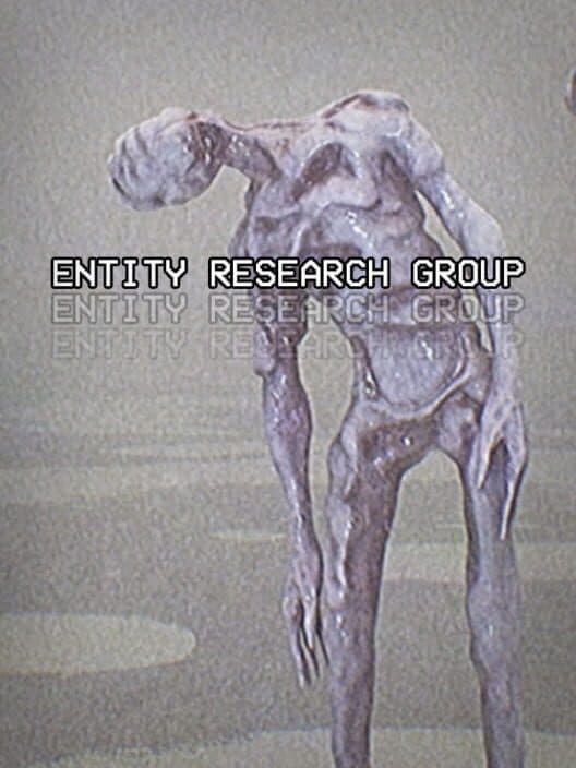 Entity Research Group cover art