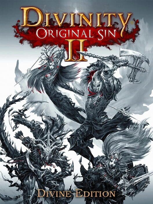 Divinity: Original Sin II - Divine Edition cover art