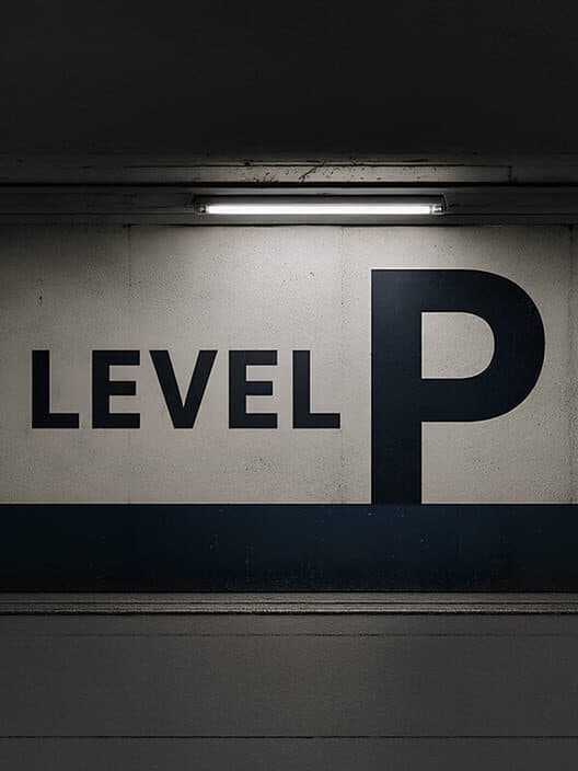 Level P cover art