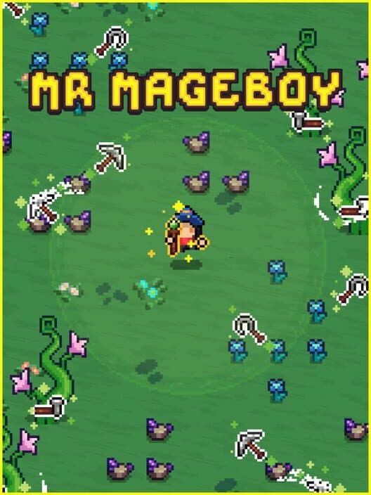 Mr Mageboy cover art
