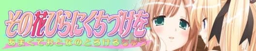Sono Hanabira ni Kuchizuke o: Melting Hot Adult Kiss cover art