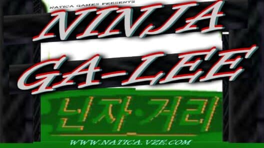Ninja Ga-Lee cover art